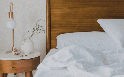 5 Tips to Prevent Bed Bug Infestation