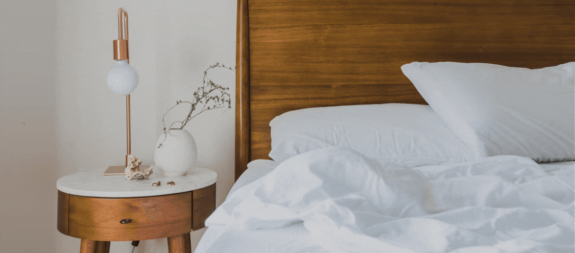 5 Tips to Prevent Bed Bug Infestation