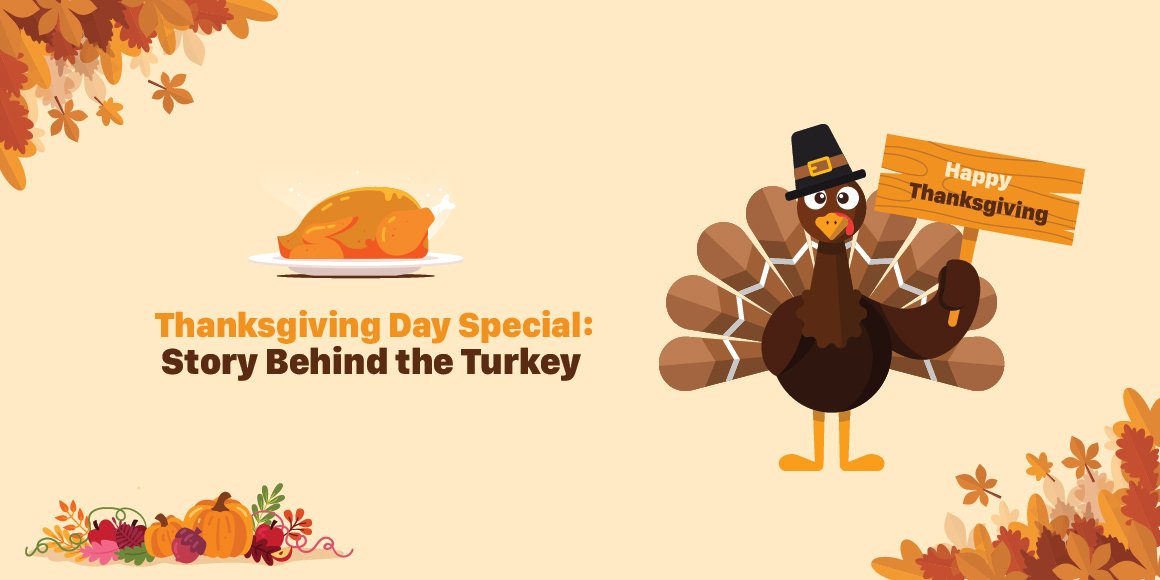Thanksgiving Day Special: Story Behind the Turkey