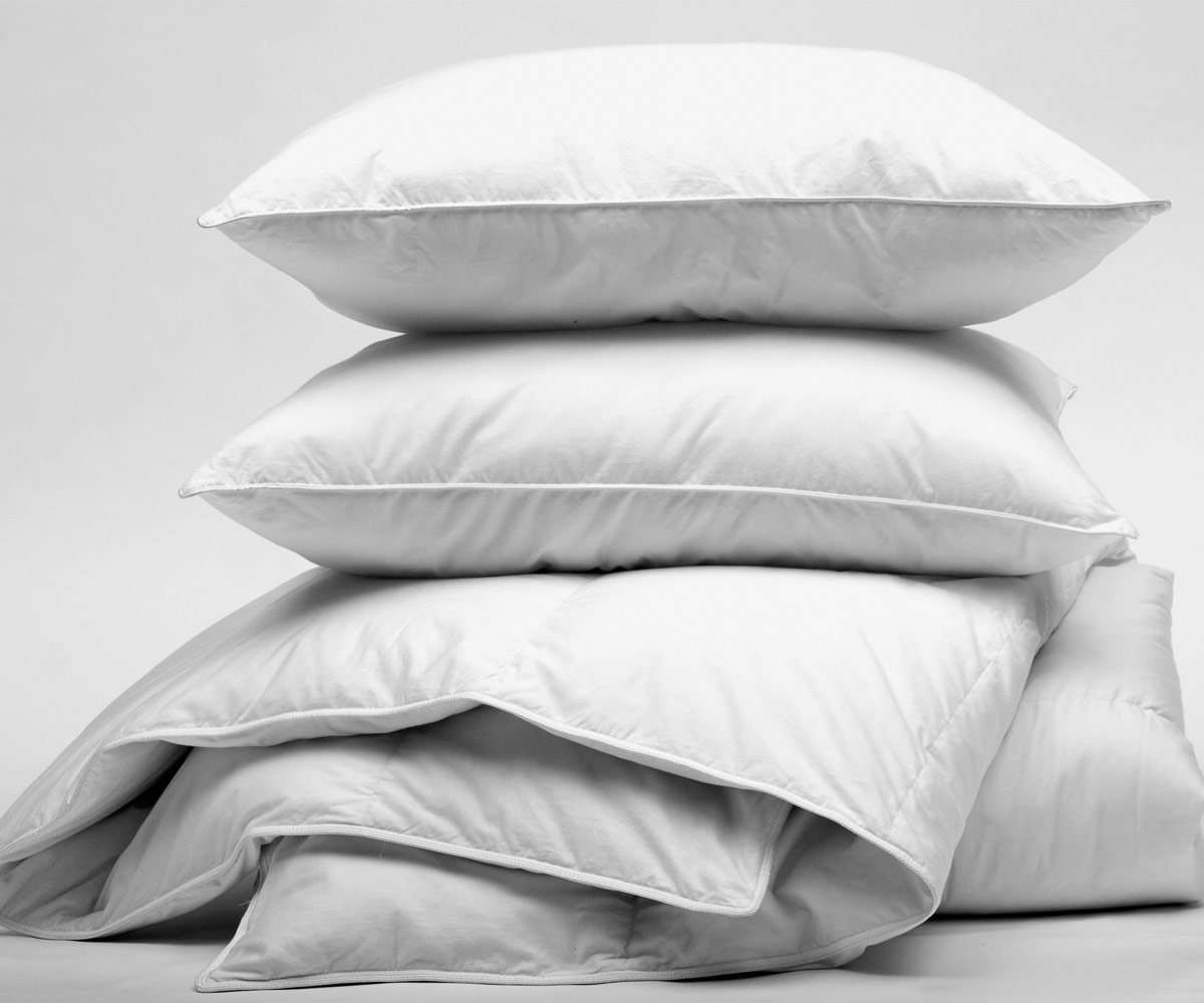 Pillow Standard, 26oz-Platinum Plus, 20×26-12/cs 6
