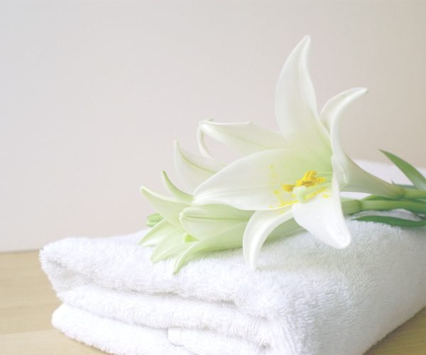 24" x 48" -8.0lbs, Cam Border Bath Towel, 86% Cotton-14% Polyester, 5dz per case 24" x 48" -8.0lbs, Cam Border Bath Towel, 86% Cotton-14% Polyester, 5dz per case