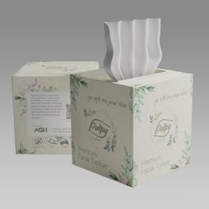 Cube Facial Tissue Boutique, Pulpy 2ply-100, 36/cs | AGH - Hospitality Supplies
