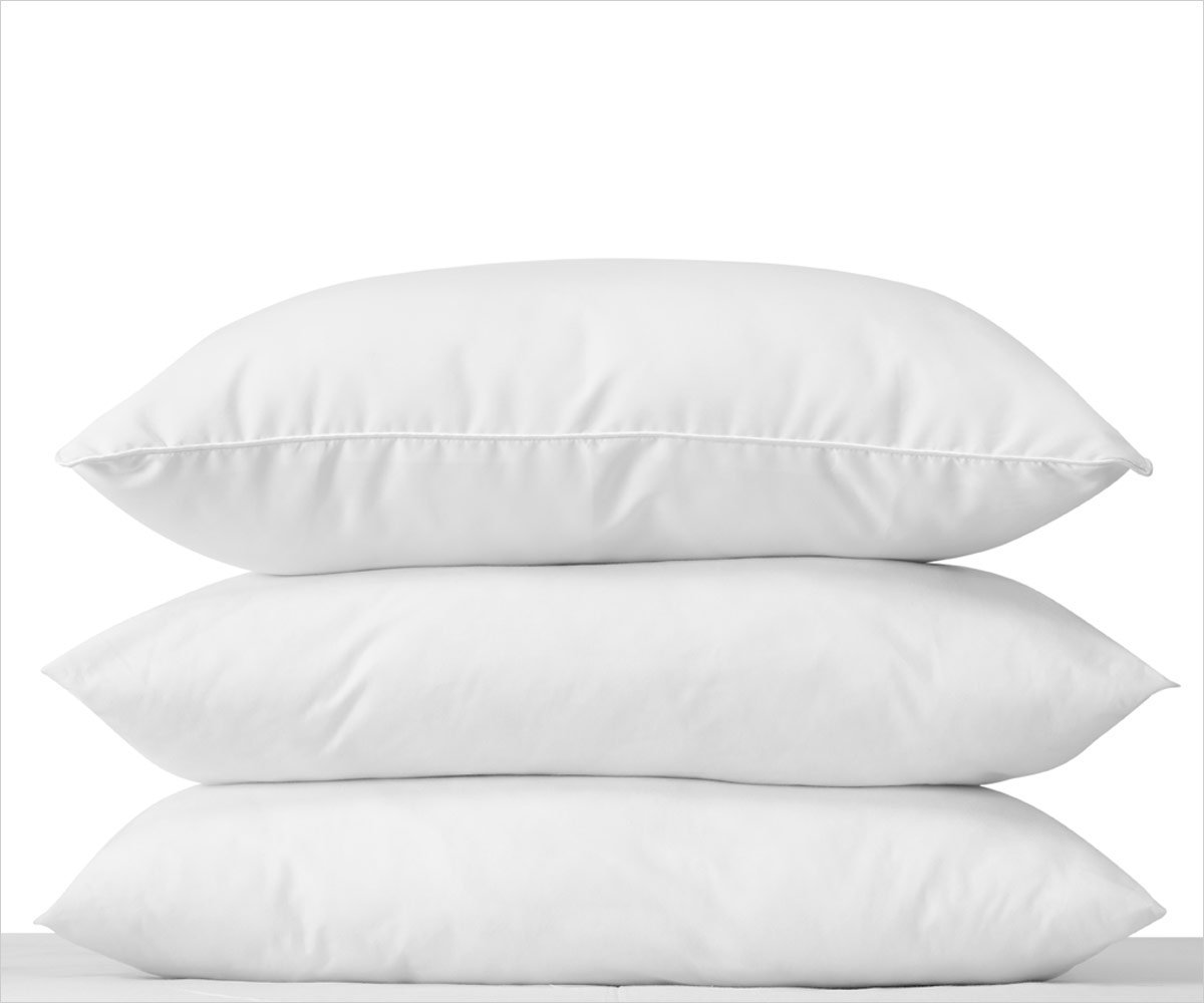 Pillow Standard, 26oz-Platinum Plus, 20x26-12/cs