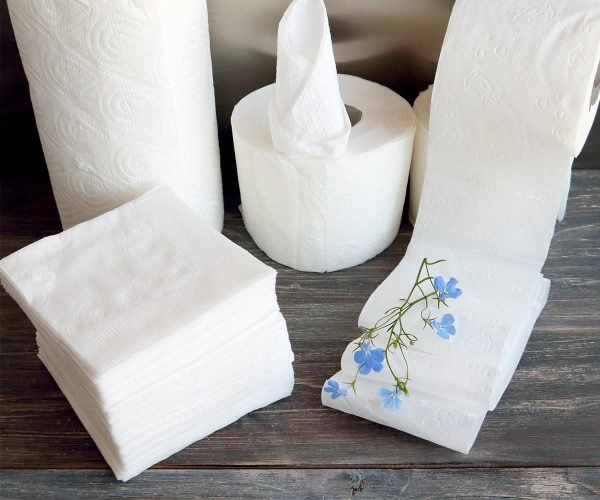 Buy Online Dinner Napkins in Bulk | Paper Products | AGH - Hospitality Supplies Dinner Napkins, 8 fold, 2ply, 3008/cs -White Swan