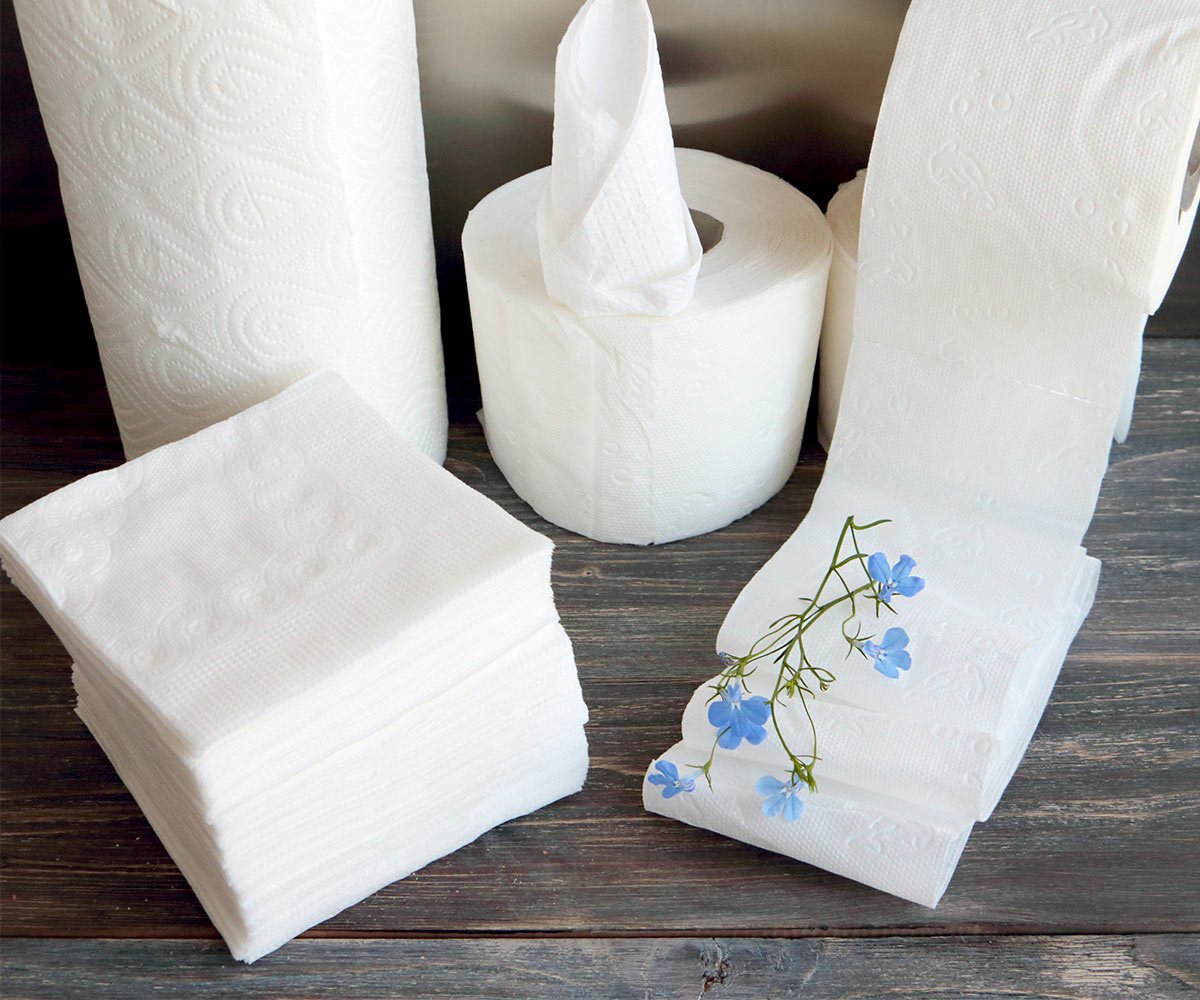 Dinner Napkins, 8 fold, 2ply, 3008/cs -White Swan