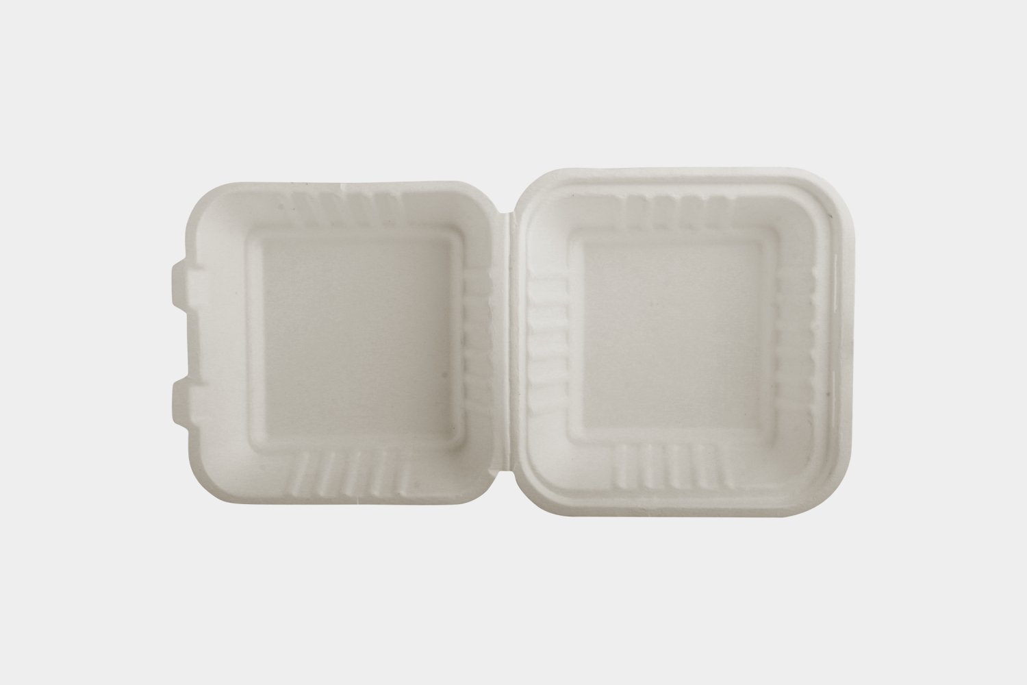 Eco-Friendly 6" Bagasse Food Containers in Bulk